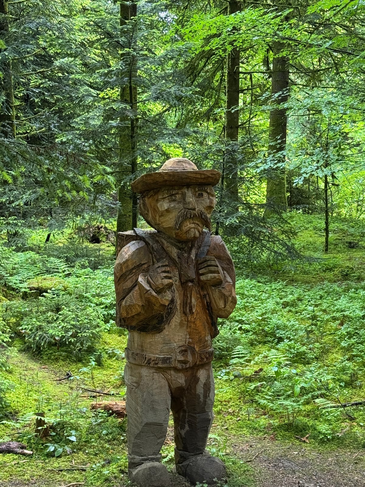 [REAL PHOTOGRAPHY] — placeholder for The hour of the forest