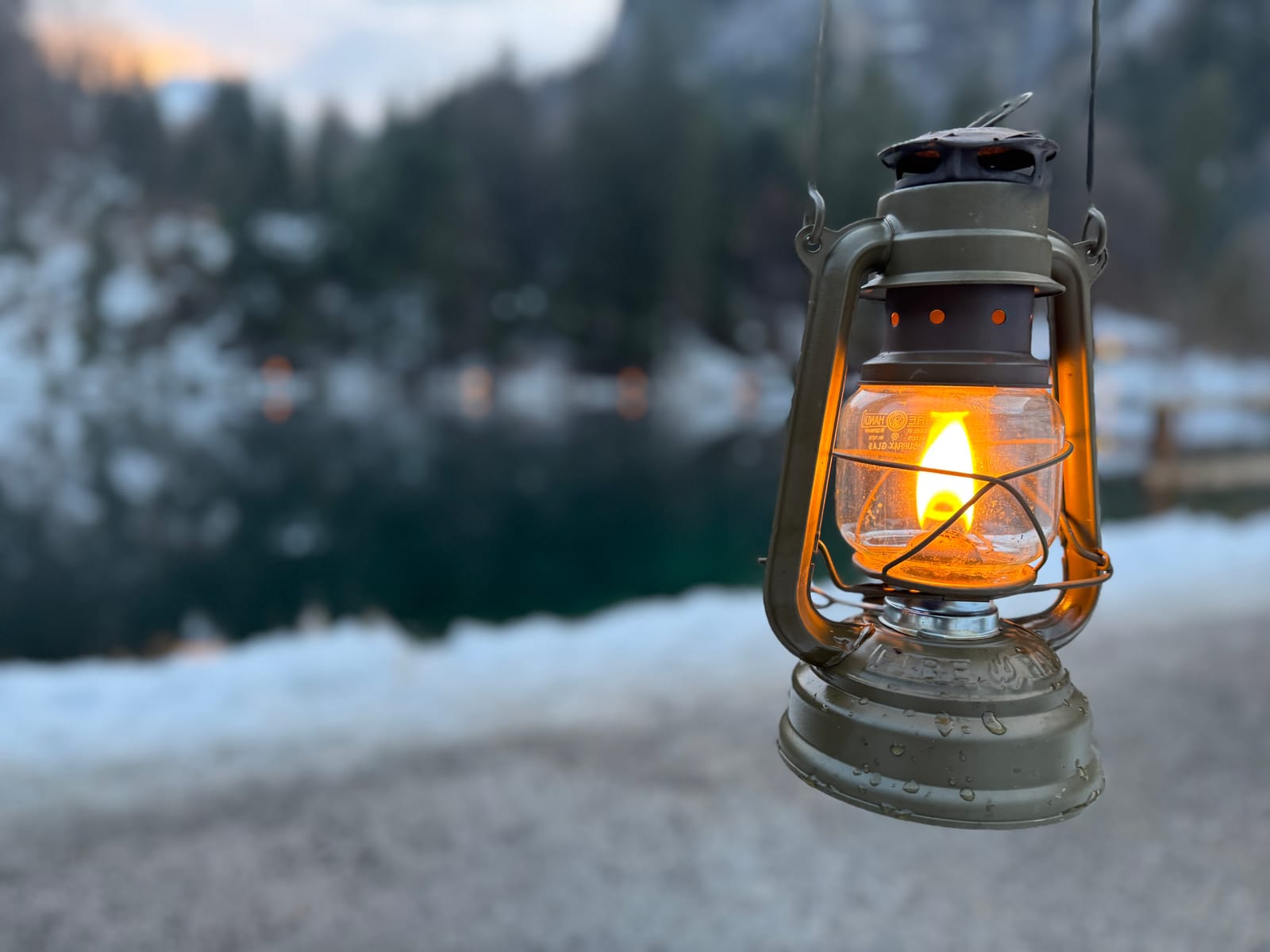 [REAL PHOTOGRAPHY] — Larch light