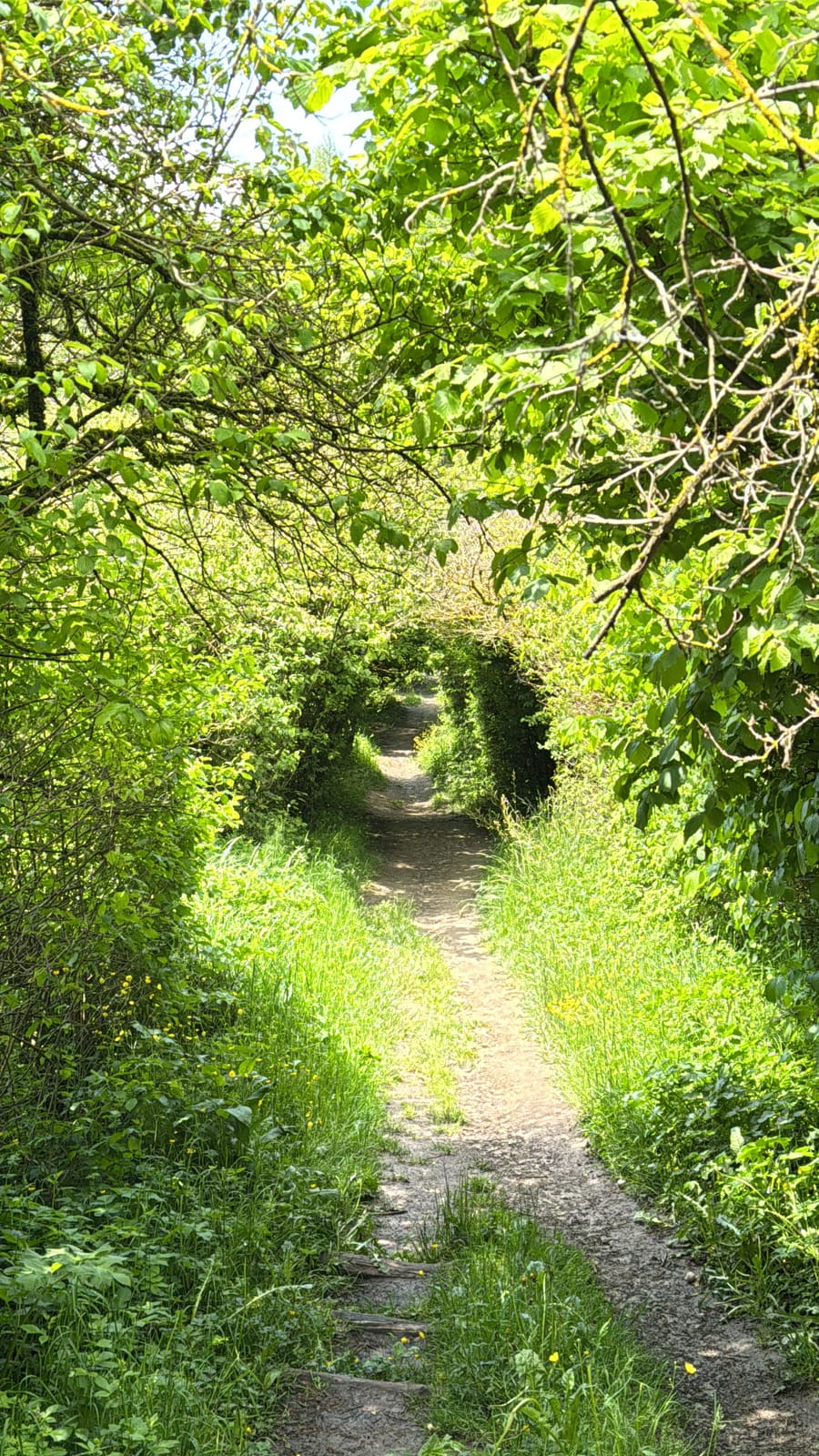 [REAL PHOTOGRAPHY] — Why this path is closed (and why that is good news)
